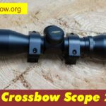 Best Crossbow Scope| Review & Buying Guide