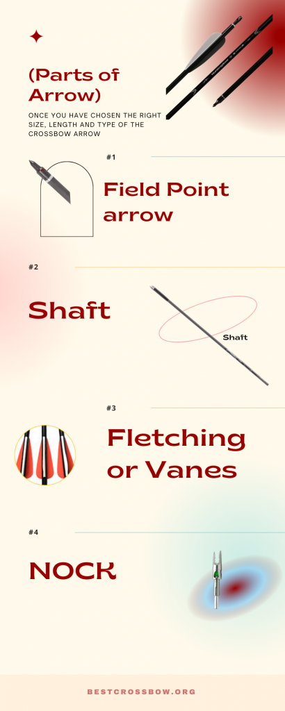 Parts of crossbow arrow